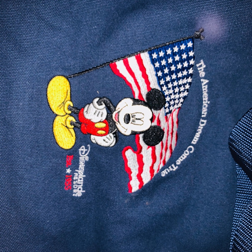 Disney land large shoulder bag 💼 - Picture 2 of 8